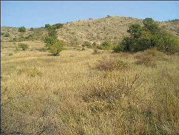 the trap site in Bulgaria