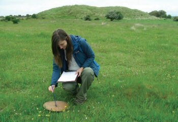 Surveying a Marsh Moth habitat
